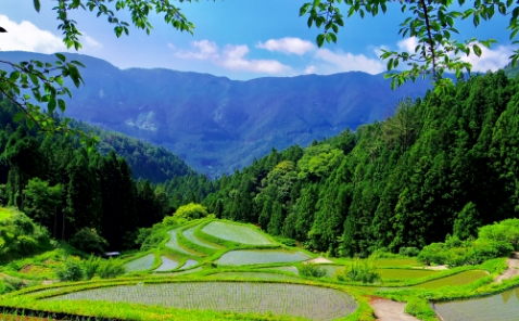 地域創生・環境