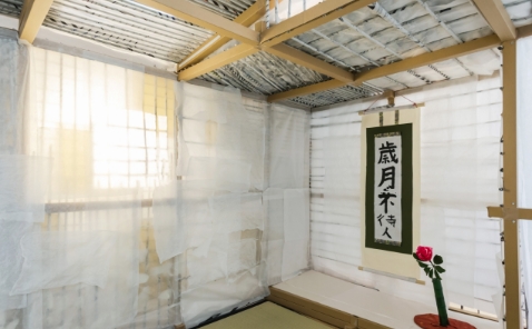 日本・世界の文化や芸能